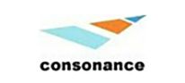 Consonance/如韵电子